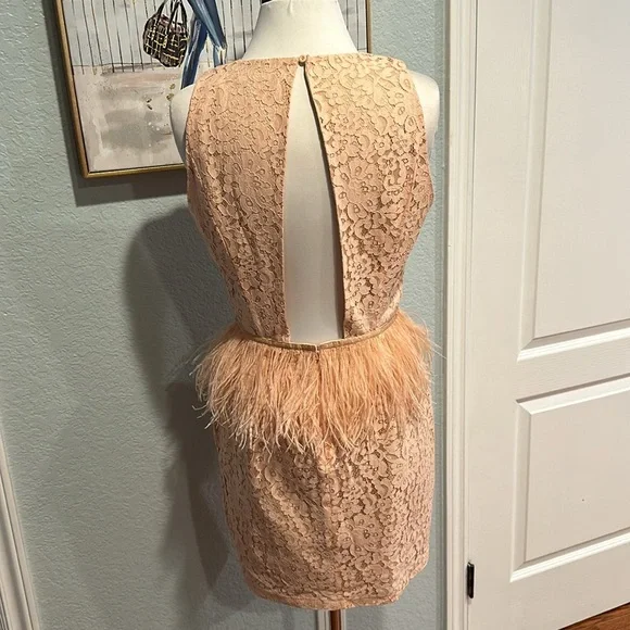 Revolve • Endless Rose Lace Feather Peplum Dress in Nude Pink • Sz L - Picture 6 of 10